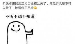 去年卓伟爆料的是谁啊视频,揭秘娱乐圈惊天大事件