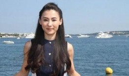 张柏芝爆料娱乐圈事件,真相与谎言的交织